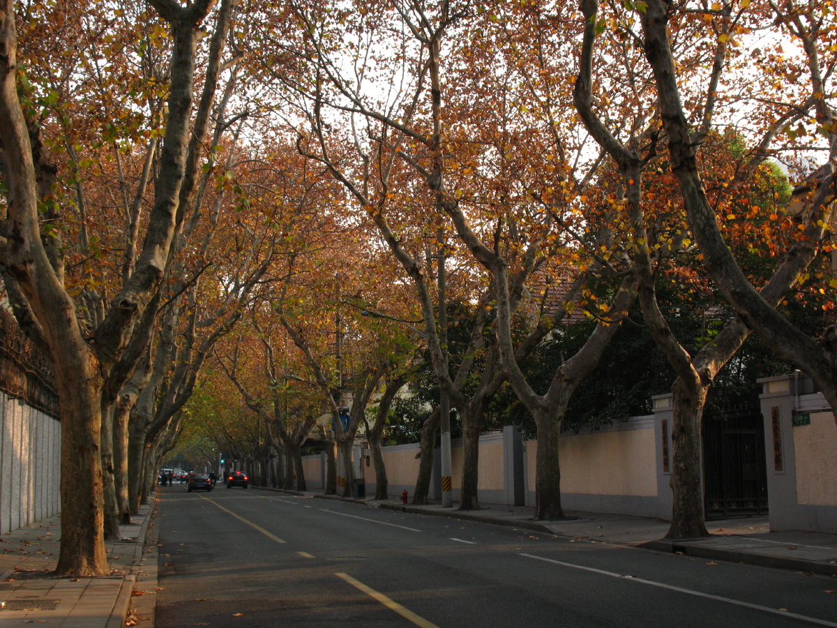 上海马路之余庆路