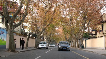 上海马路系列131213余庆路01._CanonA630
