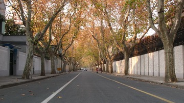 上海马路系列131213余庆路02._CanonA630