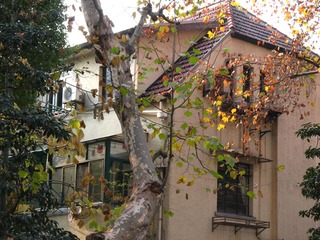 上海马路系列131213余庆路07._CanonA630