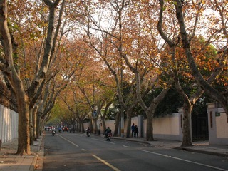 上海马路系列131213余庆路12._CanonA630