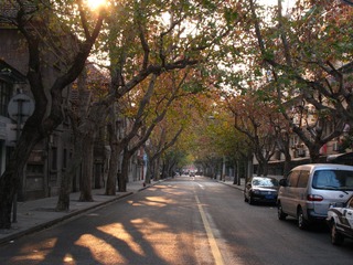 上海马路系列131213余庆路14._CanonA630