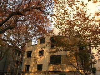 上海马路系列131213余庆路15._CanonA630