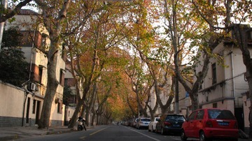 上海马路系列131213余庆路22._CanonA630