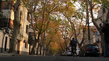 上海马路系列131213余庆路23._CanonA630