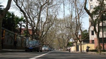 上海马路系列14033002余庆路._CanonA630