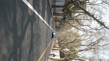 上海马路系列14033006余庆路._CanonA630