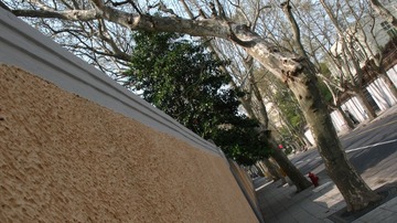 上海马路系列14033009余庆路._CanonA630