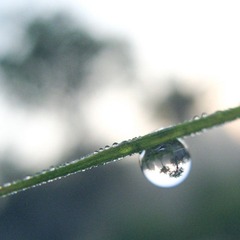 水珠里的世界