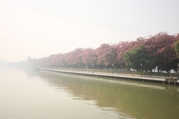 IMG_7844.JPG