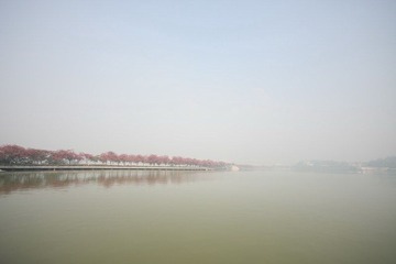 IMG_7851.JPG