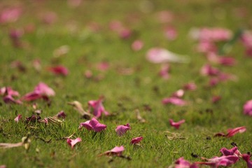IMG_7855.JPG