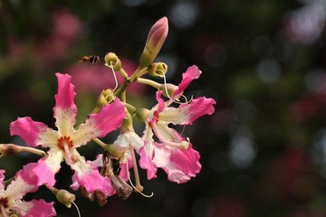 IMG_7861_1.jpg