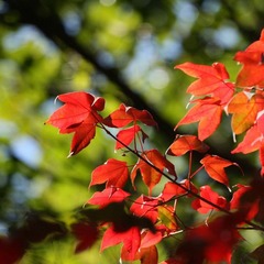 IMG_8160.jpg