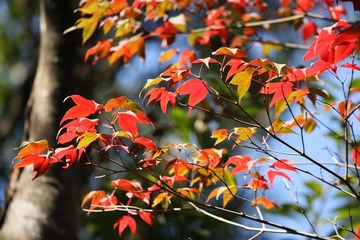 IMG_8165.JPG