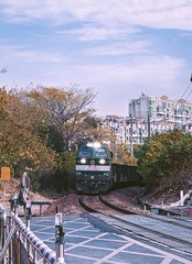 1000015782