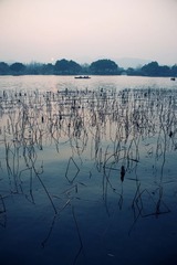 西子湖畔4