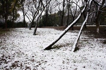 摄影者的森林公园5