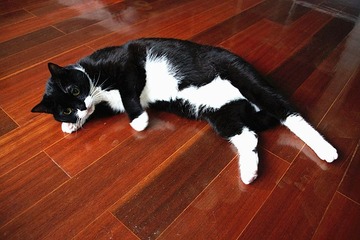 IMG_2584__