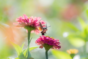 9776D5AB-4E11-4FF5-AB2E-9F05673B14F2/L0/001