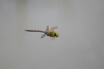 06BE5F15-1215-4097-A0F1-7263380D69A7/L0/001