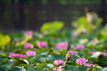 4F2AE55E-4651-400D-AFBF-35B4DF968144/L0/001
