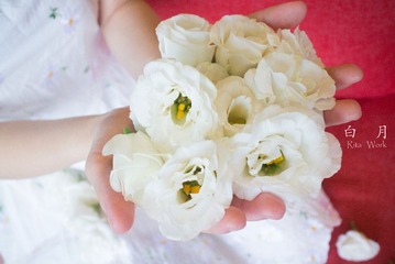 IMG_0427ps