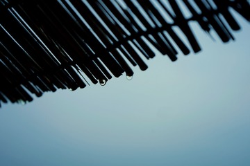 E755BDFB-13D1-45EA-AF5E-EC5C6A7D8E27/L0/001