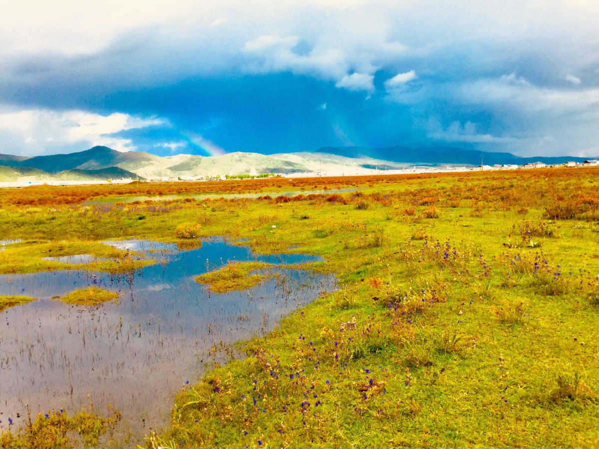 美丽的香格里拉大草原