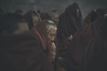 _8009318