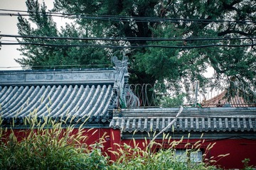 20140728-R0011247