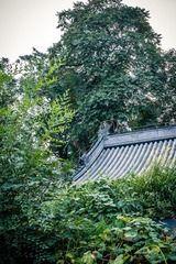 20140728-R0011249