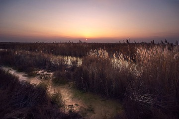 黄河湿地1.jpg