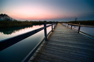 黄河湿地2.jpg