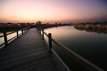 黄河湿地3.jpg