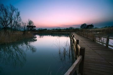 黄河湿地4.jpg
