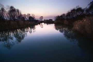 黄河湿地5.jpg