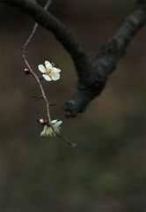 “_DSC0371”为智能对象-1.jpg
