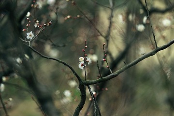 “_DSC0380”为智能对象-1.jpg