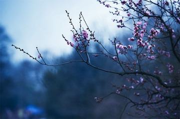 “_DSC0467”为智能对象-1.jpg
