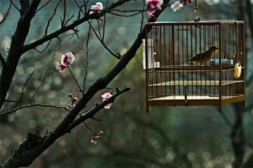 “_DSC0499”为智能对象-1.jpg