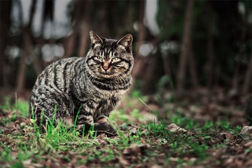 “_DSC0574”为智能对象-1.jpg