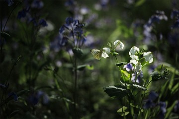 “_DSC0714”为智能对象-1.jpg