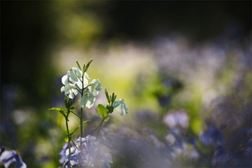 “_DSC0701”为智能对象-1.jpg