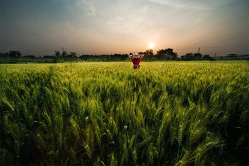 “_DSC0370”为智能对象-1.jpg