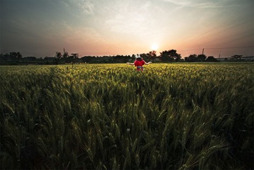 ““_DSC0372”为智能对象-3.jpg