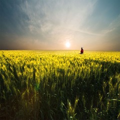“_DSC0363”为智能对象-1.jpg