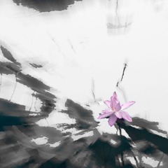 “_DSC2680”为智能对象-2.jpg