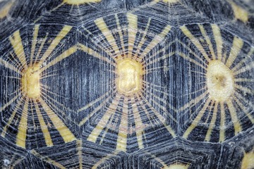 color01.jpg