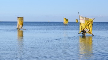 color06.jpg